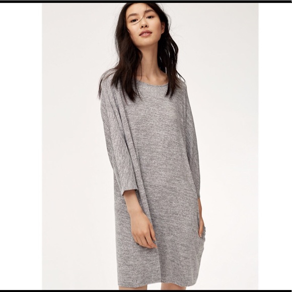 Aritzia Dresses & Skirts - ARITZIA Wilfred Free Cober Dress